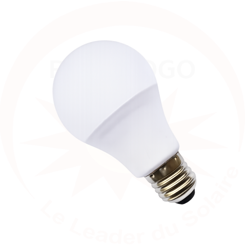 Ampoules LED 1Watt