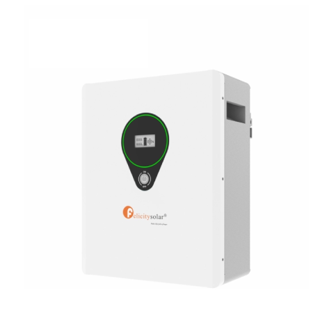 Batterie Lithium Felicity 24V 100Ah 2.5kWh