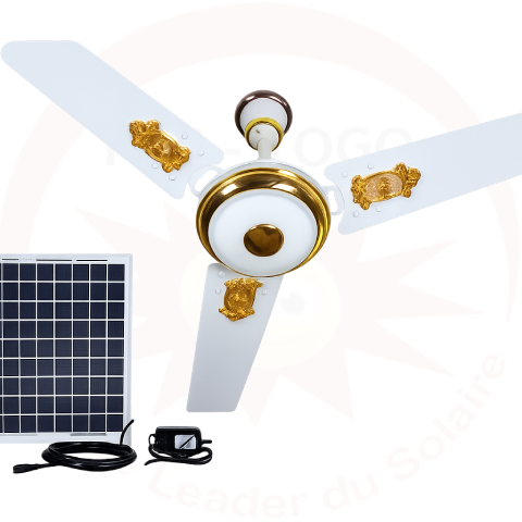 Ventilateur Solaire Plafonnier 12V
